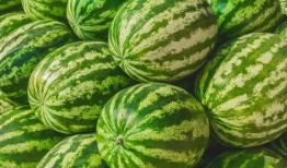 2023吃瓜最新,娱乐圈风云再起，揭秘幕后真相