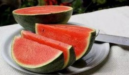 郑州和南京吃瓜,两地美食争霸记