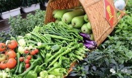 南沙疫情吃瓜,吃瓜群众视角下的实时动态解析