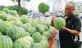 康华吃瓜群,揭秘娱乐圈幕后故事