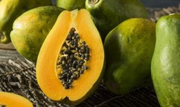 瓜栗果子怎么吃,解锁美味新体验