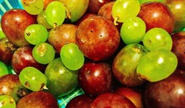 冬天吃哈密瓜柚子,哈密瓜与柚子的甜蜜邂逅