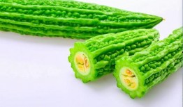 什么手机吃瓜好,揭秘最适合追剧看瓜的手机型号