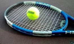 网球运动吃瓜,揭秘网球运动中的“吃瓜”现象