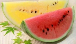 带你吃高端瓜,带你领略高端瓜果的奢华之旅