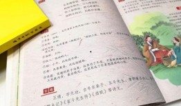 永杰吃瓜通史,揭秘娱乐圈幕后风云