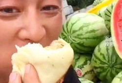 工作和吃瓜,揭秘工作与吃瓜的趣味人生