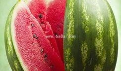 康华吃瓜群,揭秘娱乐圈幕后故事