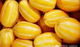 吃瓜大头,揭秘娱乐圈背后的那些事儿