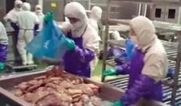 新港商留城吃瓜事件,一场引发热议的社区事件揭秘