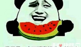 吃瓜路人什么梗,揭秘“吃瓜路人”网络热梗背后的故事