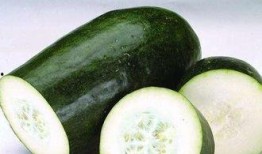 日常吃瓜库存多少,揭秘我的日常吃瓜库存秘籍