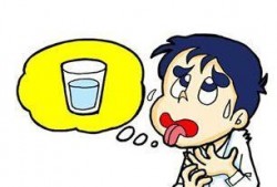 晚上喝水吃瓜乘凉,喝水吃瓜，尽享清凉时光