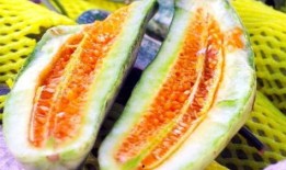 吃瓜事件晨曦,揭秘吃瓜事件背后的真相与影响