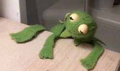 吃瓜的老咸鱼,揭秘娱乐圈幕后真相