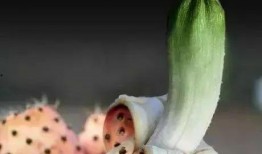 哈皮不会吃瓜,一场不吃瓜的趣味之旅