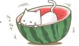 吃瓜球动漫,揭秘二次元世界的甜蜜诱惑