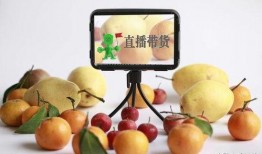 长垣直播吃瓜,揭秘网络直播背后的趣味与争议