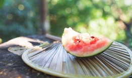 吃瓜2023免费入口,吃瓜免费入口，畅享娱乐盛宴