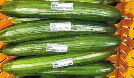 泰国小瓜怎么吃,探索东南亚风味新选择